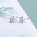 Elegante S925 Silber Stern Ohrstecker mit funkelnden Zirkonia auf weißer Karte - Stern (A1530) / Silber