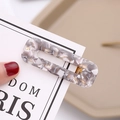 Rectangle acetate hair clip with sweet marble pattern and golden metal spring mechanism - Grey Leopard