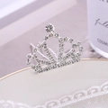 Elegante zilveren bruidshaarspeld met fonkelende steentjes voor bruidskapsels - Zilver