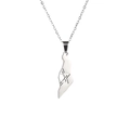 Collana con ciondolo mappa Israele Palestina in acciaio inossidabile e stella di David - Color Acciaio