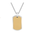 Macro-detail van de tweekleurige rechthoekige dogtag-hanger met zilver en goud - Zilver en Goud Dog Tag Halsketting
