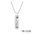 Silver Cancer zodiac rectangle pendant necklace with brushed stainless steel finish - Cancer