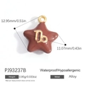 Sternförmiger brauner Emaille-Steinbock-Sternzeichen-Anhänger aus Goldlegierung - Kaffee Steinbock (PJ93237B)