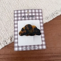 Détail d'une pince à cheveux croissant en écaille brune sur une carte à carreaux - Écaille Croissant
