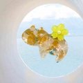 Detalle de pinza para pelo de gato en acetato con motas azules y flor amarilla - Gato Naranja - Pequeña Flor Amarilla