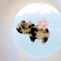 Detailansicht einer Schildpatt-Acetat-Katzen-Haarklammer mit zarter rosa Kirschblüte - Helles Schildpatt Katze - Kleine Gelbe Blume