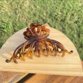 Large amber acetate hair claw clip with tortoise texture on a wooden stand outdoors - approx 11.3cm / Glossy Light Tortoiseshell Bouquet