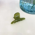 Grass green resin claw clip with France Handmade lettering for elegant hair styling - 4.8cm / Green Jelly