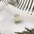 Elegante pinza para el pelo de acetato blanco crema con diseño floral de diamantes - Estilo De Flor Blanca