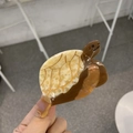 Pinza per capelli a forma di tartaruga in acetato con venature marmoree dorate - Cocco Giallo - Piccola Tartaruga