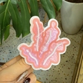Detail of pink pearlescent acrylic hair claw clip with coral pattern and white vein texture - Coral / Seagrass
