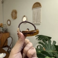 Detailed shot of amber resin hair tie with gold Sunshine lettering and brown elastic - Ellipse / Americano