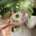 Stijlvolle oogvormige haarklem van acetaat met kleurrijke iris voor retrolook - Roze irisrerend oog