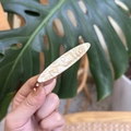 Elegante fermaglio per capelli in acetato marmorizzato crema con logo dorato a mano - Trama Marmo Bianco