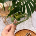 Deep green marbled acetate hair claw clip with golden text detail held in hand - Emerald Green