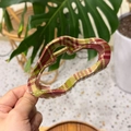 Primo piano di una grande molletta per capelli a quadri rossi e verdi con molla dorata - Plaid Rosso Verde - Nuvola