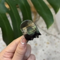 Close-up of small acetate hair clip with green leaf pattern and gold France label - Small Claw / Cyan Black Texture