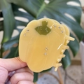 Pince à cheveux citrouille créative en acétate avec strass et tige verte pour coiffures de jour - Forme de Citrouille / Jaune