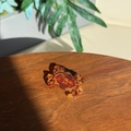 Detailed view of a unique crab-shaped cellulose acetate hair claw with amber texture - Brown-Mini Crab Clip