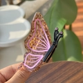 Dettaglio molletta a farfalla con motivo leopardato, profili rosa e strass lucidi - Pinza Farfalla Caffè Trasparente Rosa Metà Strass