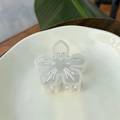 Détail de la pince à cheveux en forme de fleur translucide avec des strass et un ressort - Pierre de Lune Blanche
