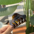 Close-up of translucent amber resin hair claw clip with glossy tortoiseshell finish - Glossy Tortoiseshell