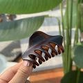Close-up of a brown tortoiseshell hair claw clip held in hand with outdoor background - Matte Red Brown