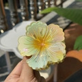 Detail showing the iridescent yellow flower hair claw clip with a pearlescent finish - Five-Petal Claw / Green Orange Laser-Yellow Stamen