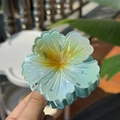 Macro shot of translucent light green flower hair claw clip with a jelly resin texture - Five-Petal Claw / Mint Green Laser-Yellow Stamen