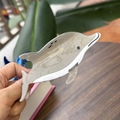 Chic dolphin-shaped acetate hair claw clip in grey and white for daily hair styling - Pointed-mouth Dolphin / Khaki