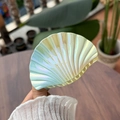 Vue macro d'une grande pince à cheveux coquillage aux reflets irisés et nacrés brillants - Grand / Jaune Vert Iridescent Laser Coquille