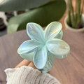 Detailansicht der irisierenden Haarklammer in Plumeria-Form mit pastellfarbenem Verlauf - Ozeanblau