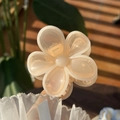 Close-up of a translucent peach flower hair claw clip held by hand in natural sunlight - Orange Petal White Edge Clear Flower Claw