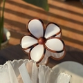 Detail of cream translucent flower hair claw with tortoiseshell edges and center bead - White Petal Tortoiseshell Edge Solid Color Flower Claw