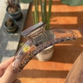 Translucent dark purple moon-shaped large hair claw clip held in bright natural sunlight - Transparent Black