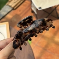 Molla per capelli a guscio di tartaruga con elegante scritta dorata Barrette La France - Pinza per Capelli a Sette Denti Tartarugato Traslucido Glitterato