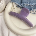 Gros plan d'une pince à cheveux en résine violette posée sur un plat en céramique - Boucle Papillon Barre Ronde - Grande