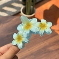 Vue macro détaillée d'une pince à cheveux plumeria avec pétales dégradés bleu et jaune - Jaune sur Bleu