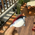 Graziosa pinza per capelli in acetato a forma di uccello con design a gru rossa e bianca - Molla Rondine Bordo Rosso