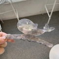 Marine whale shaped acetate hair claw clip with iridescent laser finish for girls - Gray Iridescent Whale Head