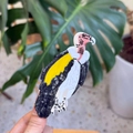 Pinza para el pelo de cóndor de acetato con diseño creativo de colores vivos - Buitre