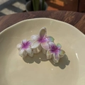 Eleganter weiß-lila Farbverlauf Plumeria Haarklammer in einer Keramikschale - Lila Irisierende Blume