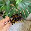 Elegante pinza per capelli in acetato leopardato con fiocco in corda nera - Forma di lingotto / Cordino in pelle nera