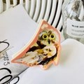 Detailed view of an acrylic hair claw clip featuring a colorful owl pattern on a magazine - Owl Hair Claw