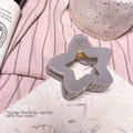 Détail de la pince à cheveux étoile mate gris violet avec ressort en métal doré - Gris Pierre - Pince Étoile Ajourée (environ 7,5cm)