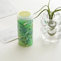 Green and white elastic hair bands in a transparent cylinder jar for ponytail styling - Green Canister