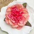 Haarklammer mit pfingstrosenblüte in rosa-orangefarbenem verlauf und grünen blättern - Pfingstrose Dunkelrosa