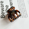 Detailed macro view of amber tortoiseshell hair claw with gold Barrette La France text - Small Pumpkin / Brown
