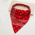 Detail eines roten Bandanas mit Paisleymuster, elastischem Band und Retro-Dreieck-Design - Rot