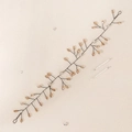 Vigne de cheveux de mariée faite à la main avec cristaux ambrés et fil métallique noir - Champagne (HS-J6647CHAMPAGNE)